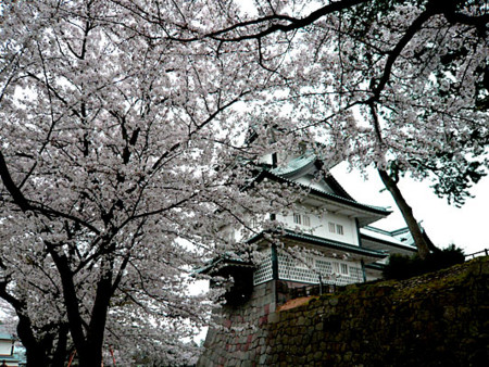 f:id:Kimono:20100412101833j:image
