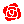 No.339 「バラ」 （rose）