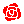 No.339 「バラ」 （rose）