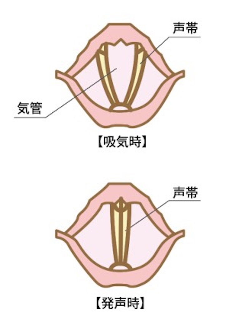 f:id:KingSingSong0428:20200103150033j:image f:id:KingSingSong0428:20200103150033j:image