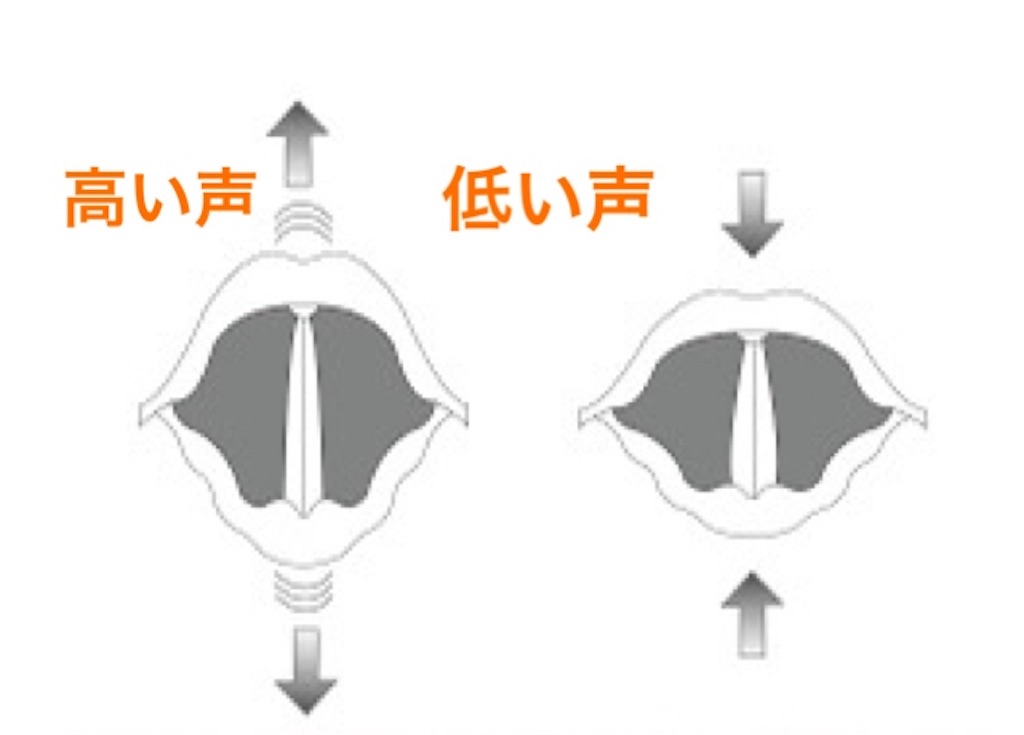 f:id:KingSingSong0428:20200103151301j:image f:id:KingSingSong0428:20200103151301j:image