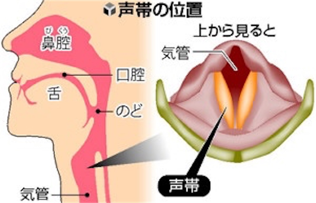 f:id:KingSingSong0428:20200103151412j:image f:id:KingSingSong0428:20200103151412j:image