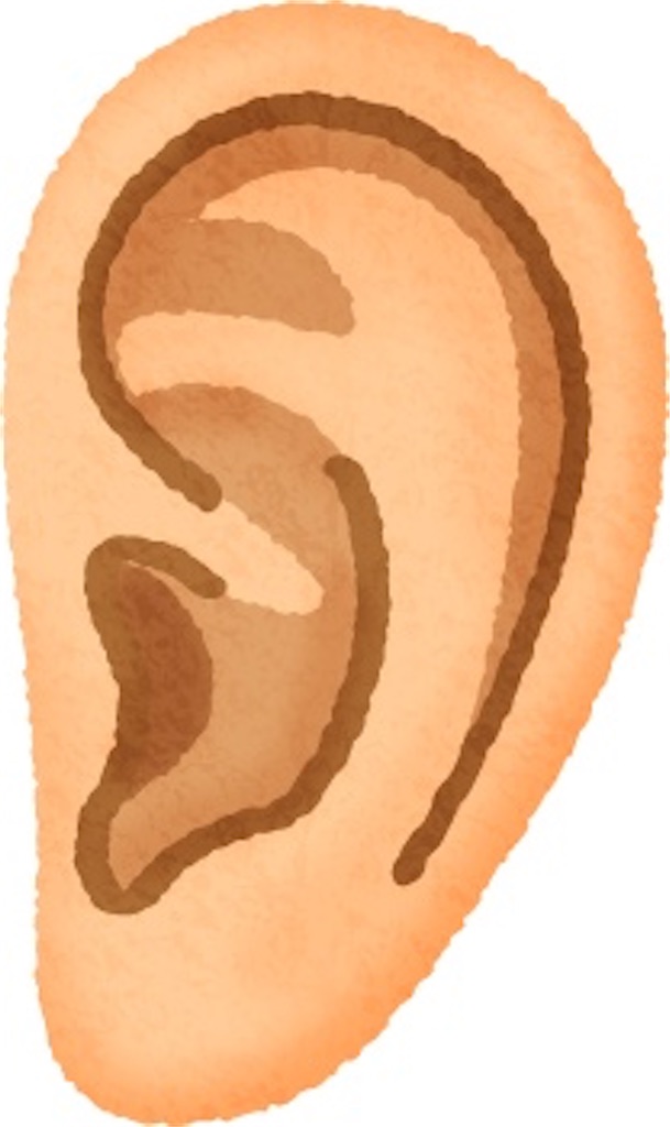 f:id:KingSingSong0428:20200104112421j:image f:id:KingSingSong0428:20200104112421j:image