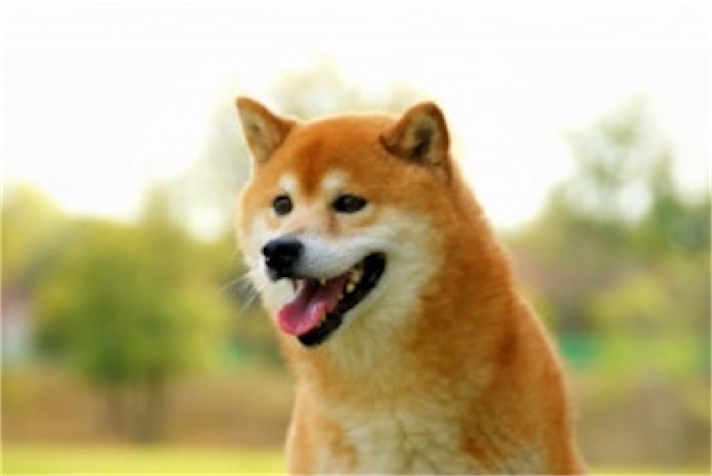 f:id:KingSingSong0428:20200107003702j:image