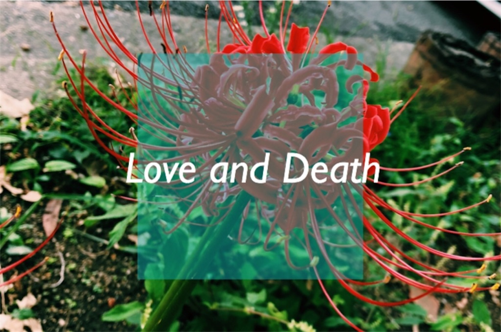 f:id:Kinguu:20190129023543j:image