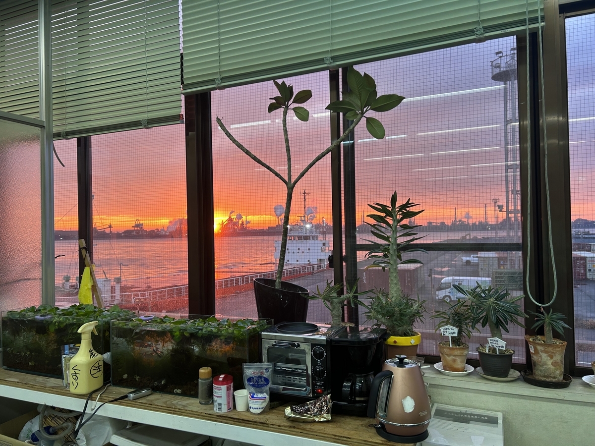 ガラス 温室 アルミ 観葉植物の栽培、亀 メダカ 飼育