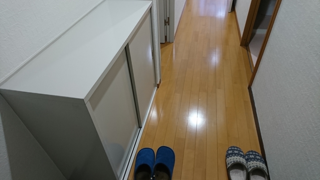 f:id:Kinokawaryokusan:20190217164514j:plain