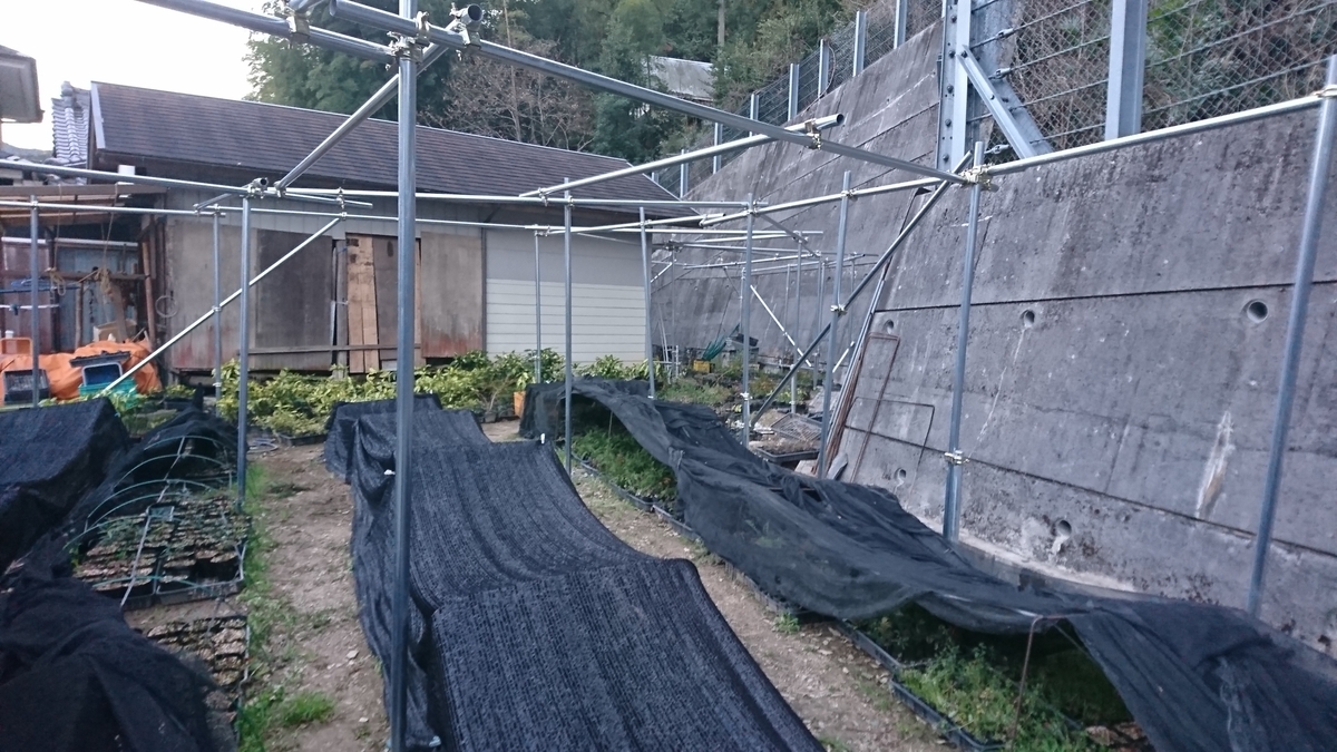 f:id:Kinokawaryokusan:20190326231109j:plain f:id:Kinokawaryokusan:20190326231109j:plain
