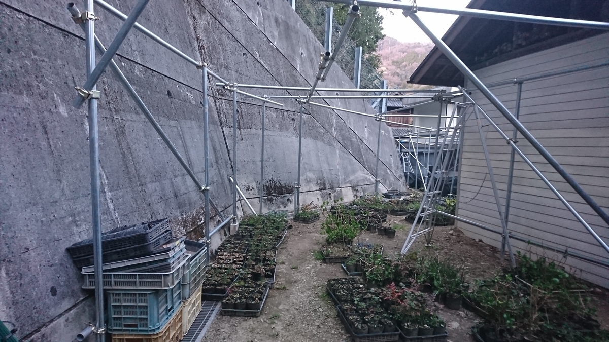 f:id:Kinokawaryokusan:20190326232158j:plain f:id:Kinokawaryokusan:20190326232158j:plain