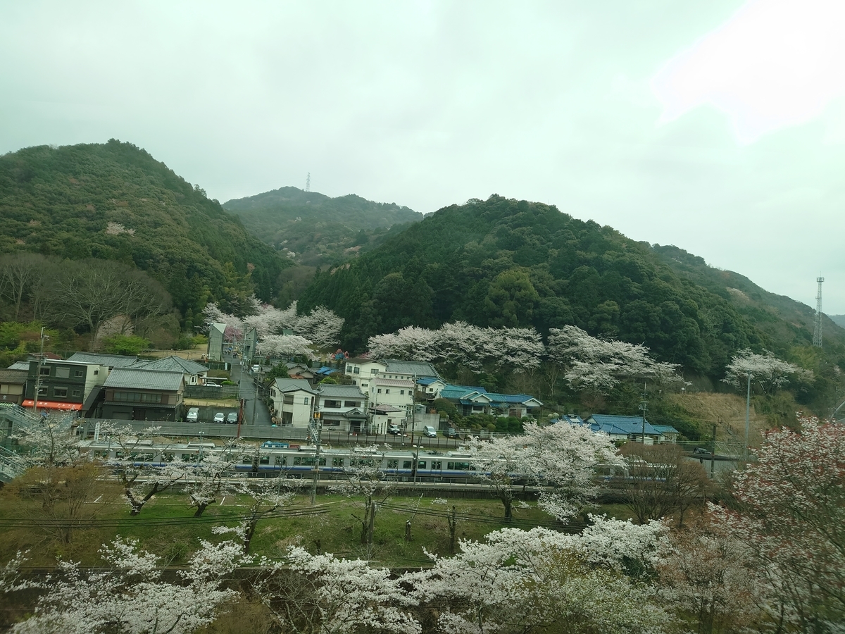 f:id:Kinokawaryokusan:20220403190836j:plain