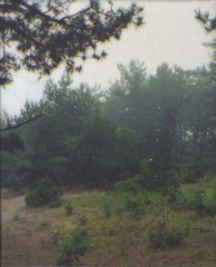 螺旋海岸 notebook 螺旋海岸 notebook