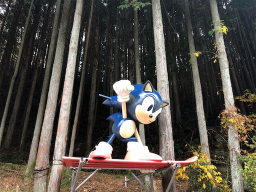 f:id:Kinshachi:20221127154026j:image f:id:Kinshachi:20221127154026j:image