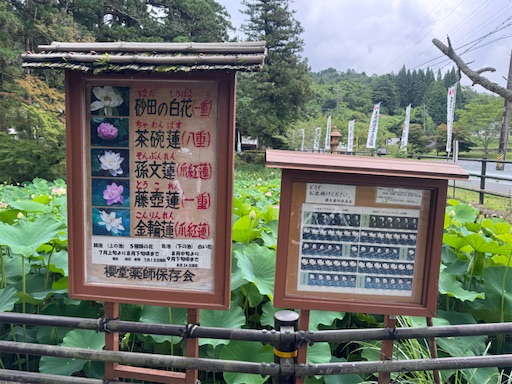 f:id:Kinshachi:20260712062231j:image f:id:Kinshachi:20260712062231j:image
