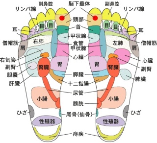 f:id:KintoreProject:20190119005245j:plain