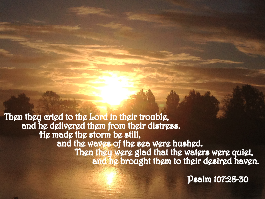 f:id:Kinuko:20161225021440p:plain f:id:Kinuko:20161225021440p:plain