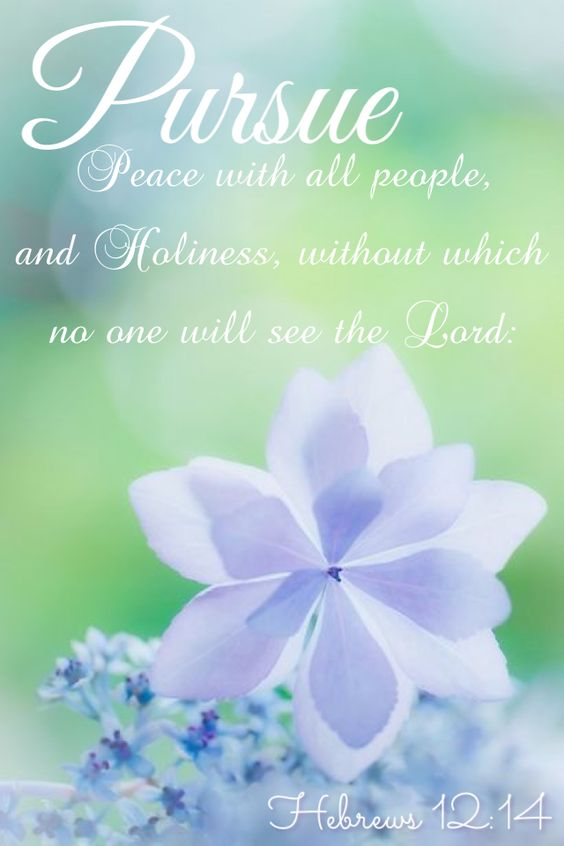 f:id:Kinuko:20161231043358p:plain