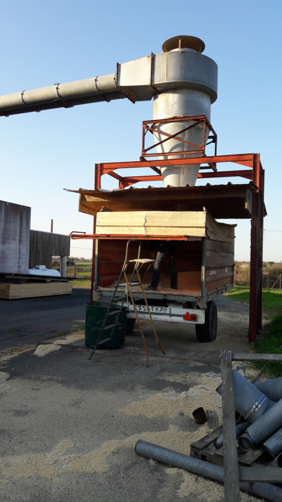 f:id:Kinuko:20170430034622j:plain