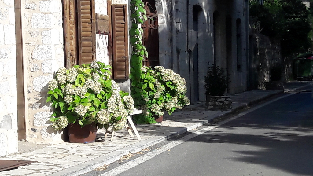 f:id:Kinuko:20180913000908j:plain