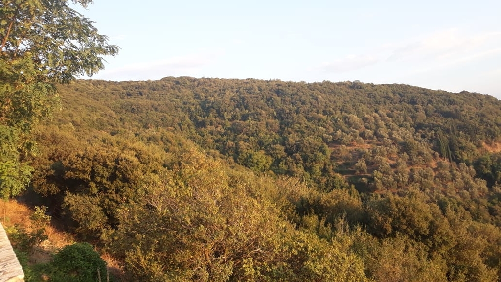 f:id:Kinuko:20180913001118j:plain