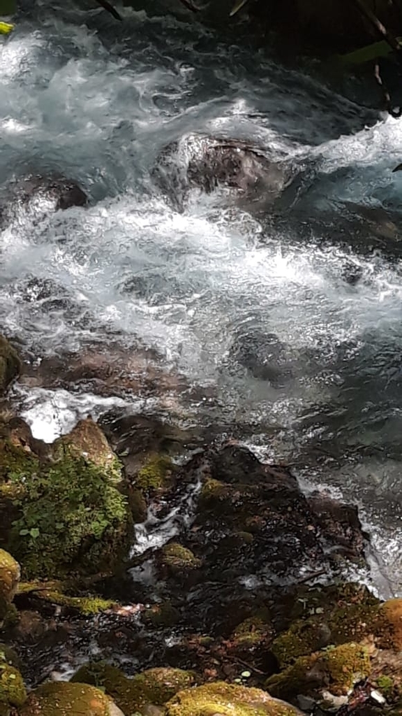 f:id:Kinuko:20180913054036j:plain