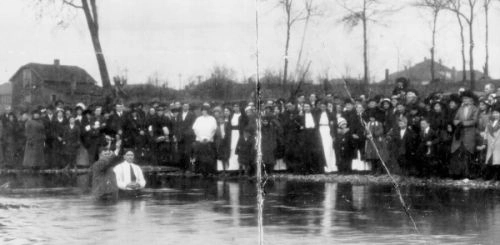 f:id:Kinuko:20190326235017p:plain