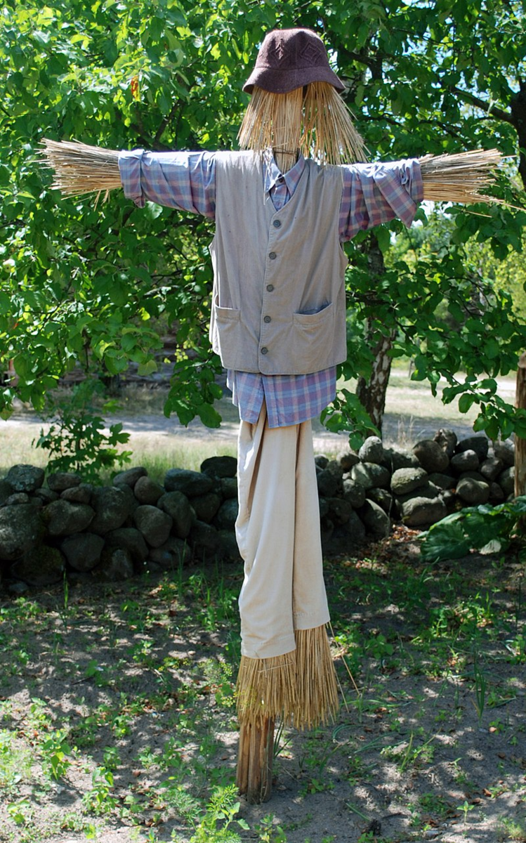 f:id:Kinuko:20190604164530p:plain f:id:Kinuko:20190604164530p:plain