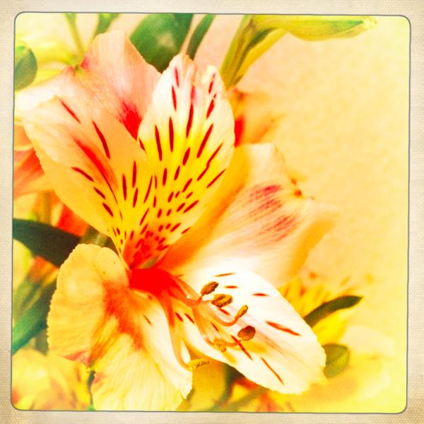 f:id:Kiphonen:20120220213124j:image