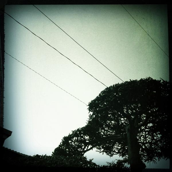 f:id:Kiphonen:20120220213131j:image