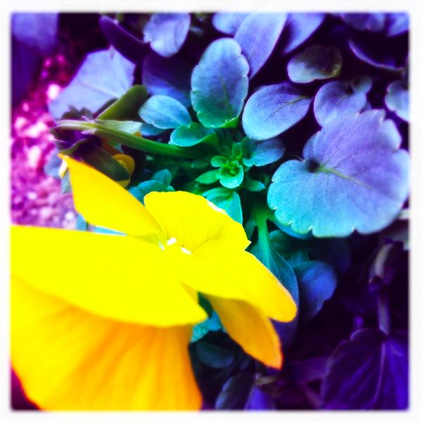f:id:Kiphonen:20120220213140j:image