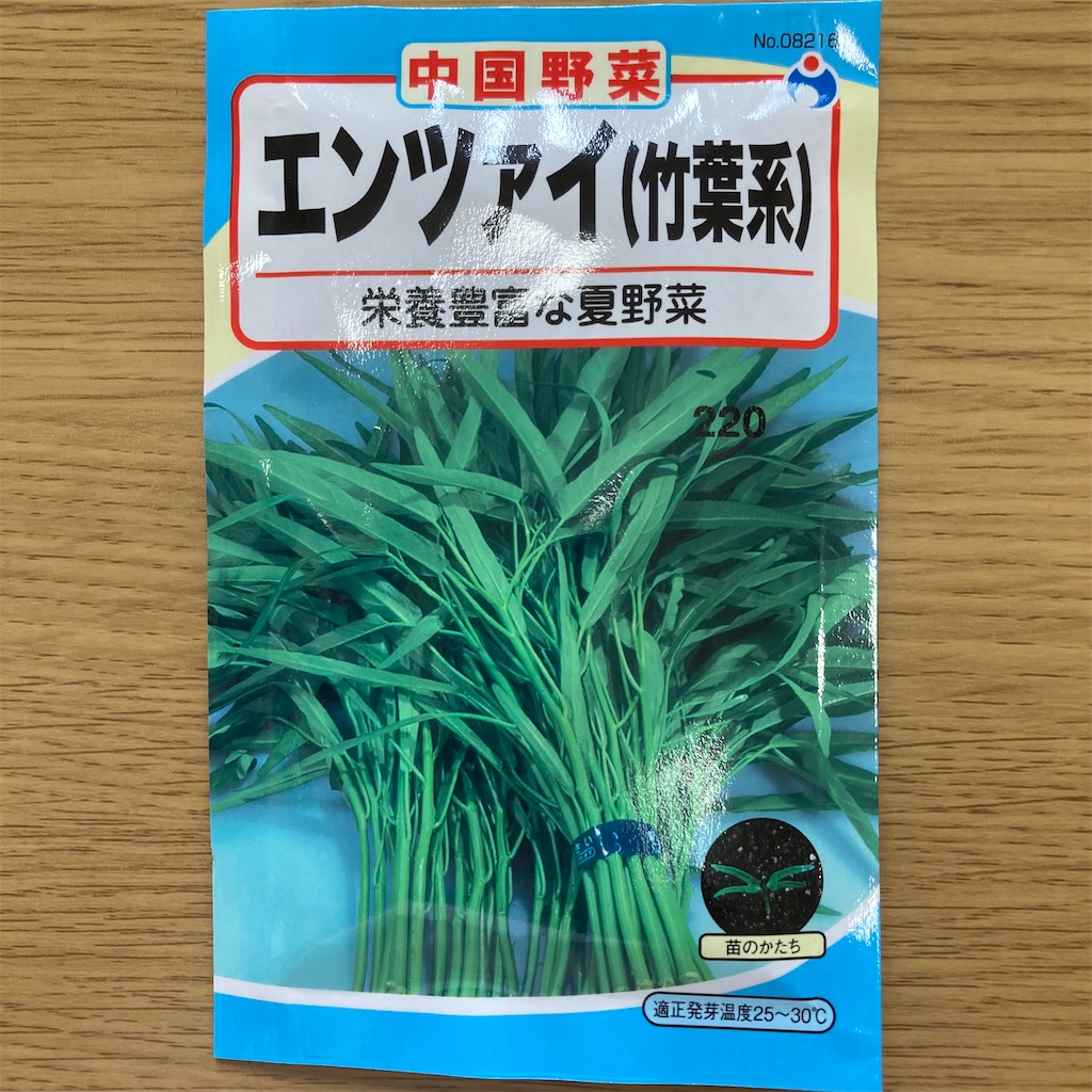 エンツァイ（空心菜）の水耕栽培シーズン開幕！「種まき」しました