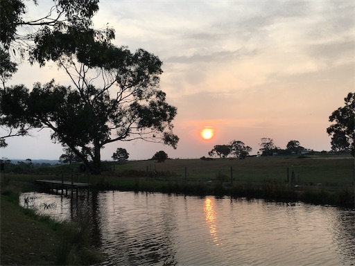 f:id:KirigirisuMax:20200110114227j:image