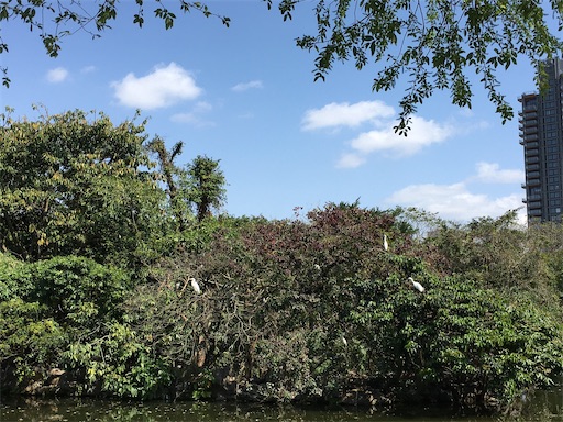 f:id:KirigirisuMax:20200219190124j:image