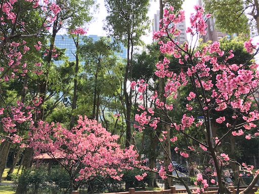 f:id:KirigirisuMax:20200220222224j:image