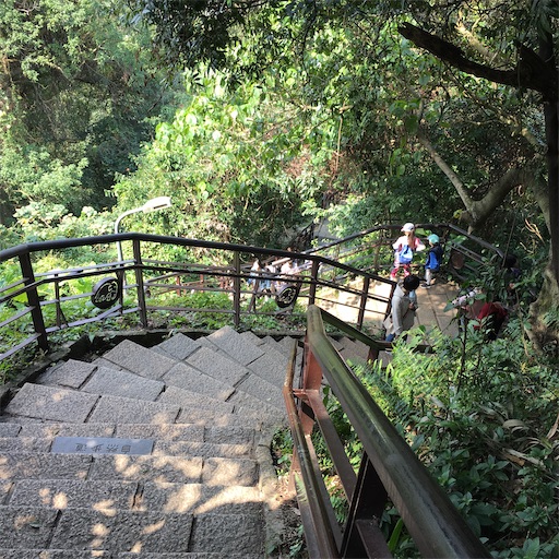 f:id:KirigirisuMax:20200220222336j:image