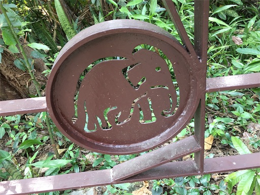 f:id:KirigirisuMax:20200220222348j:image