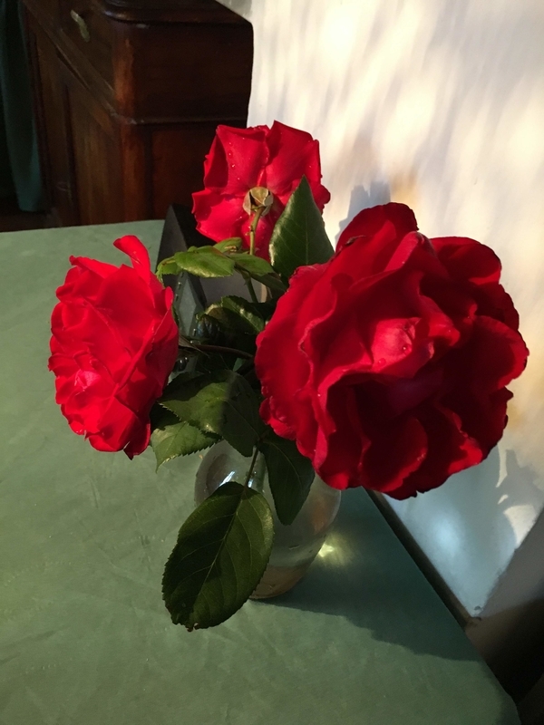 f:id:KirigirisuMax:20200815225557j:plain