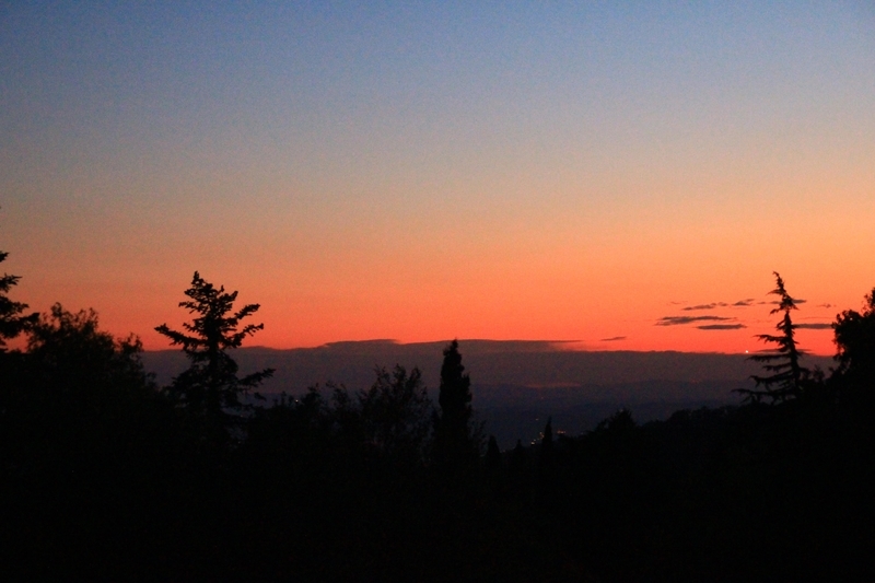 f:id:KirigirisuMax:20200816120856j:plain