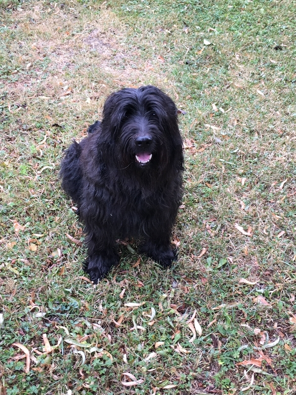 f:id:KirigirisuMax:20200816120911j:plain