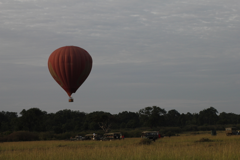 f:id:KirigirisuMax:20210523120914j:plain