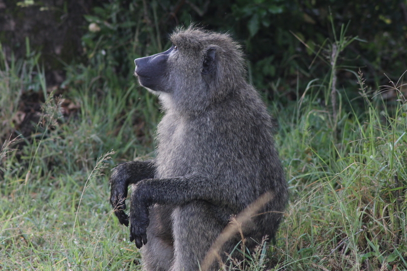 f:id:KirigirisuMax:20210523121013j:plain