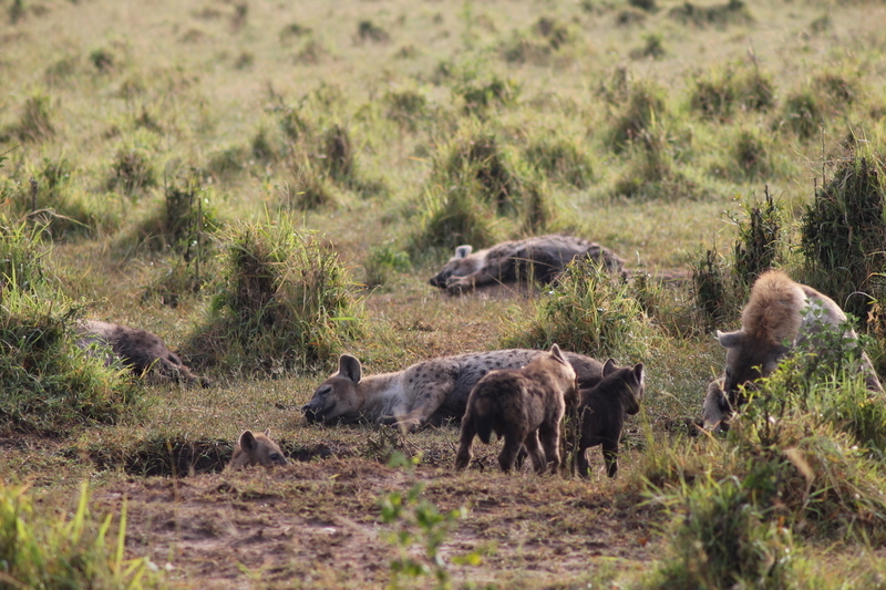 f:id:KirigirisuMax:20210523121206j:plain