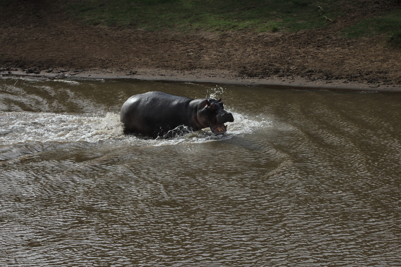 f:id:KirigirisuMax:20210523122034j:plain