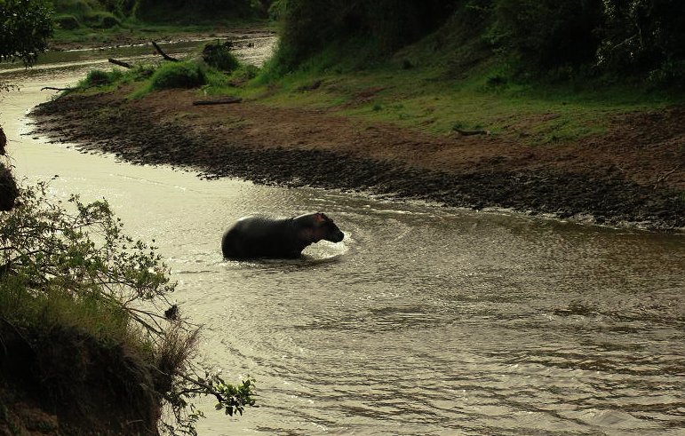 f:id:KirigirisuMax:20210606165456p:plain