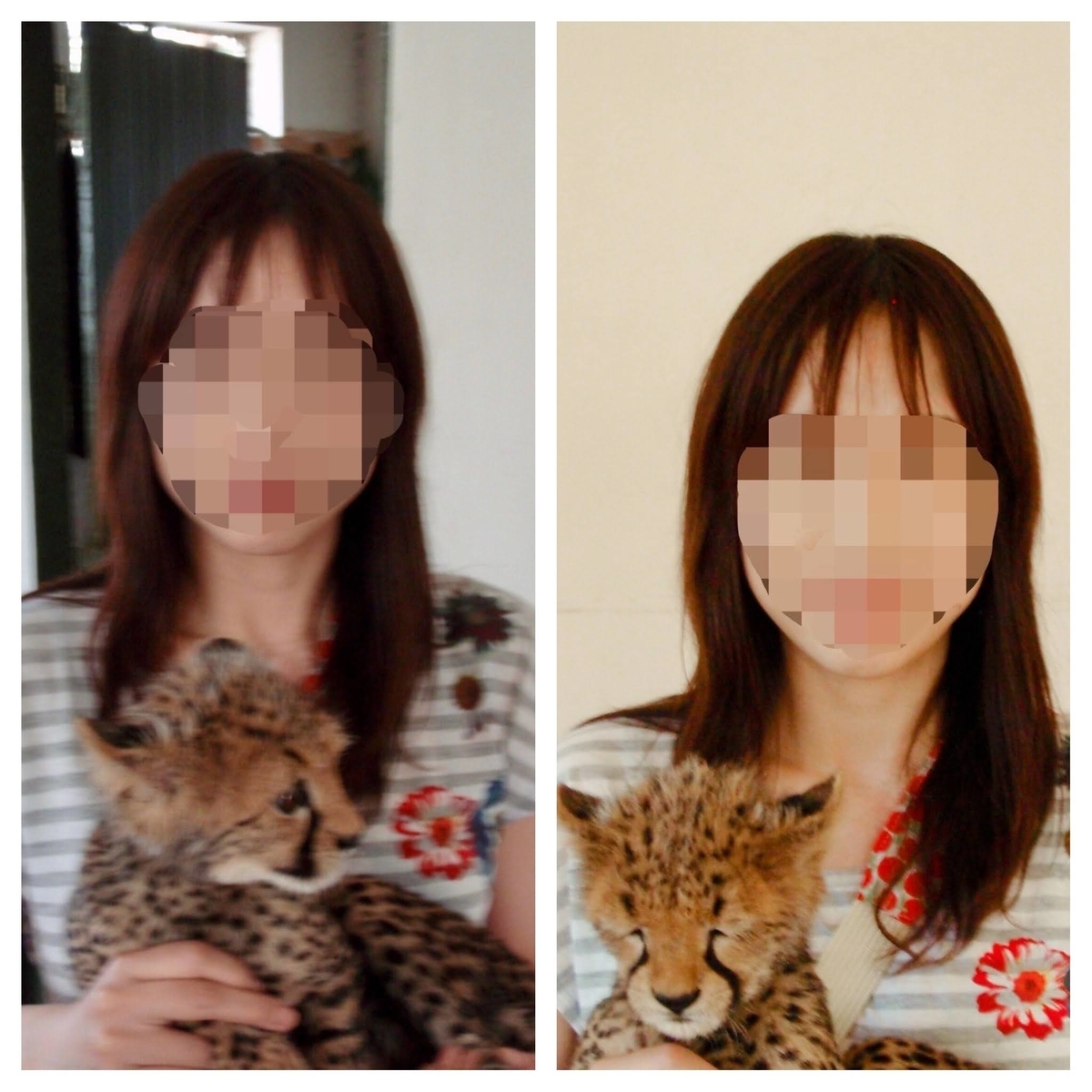 f:id:KirigirisuMax:20210612173316j:plain