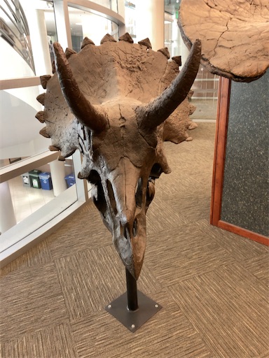 f:id:KirigirisuMax:20221015194354j:image