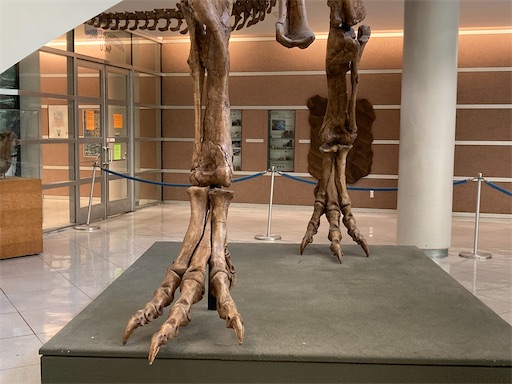 f:id:KirigirisuMax:20221015194405j:image