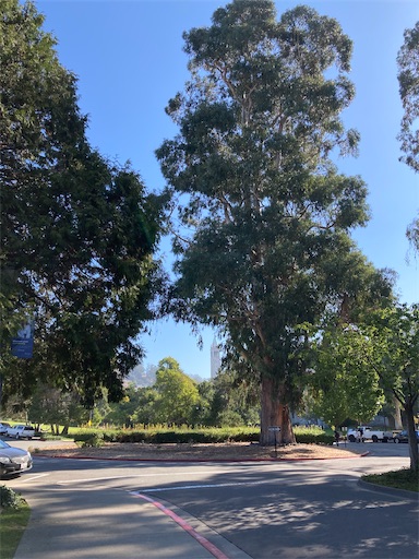 f:id:KirigirisuMax:20221015194430j:image