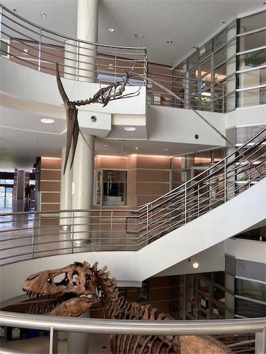 f:id:KirigirisuMax:20221015194448j:image