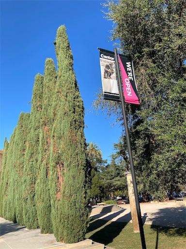 f:id:KirigirisuMax:20221015194503j:image