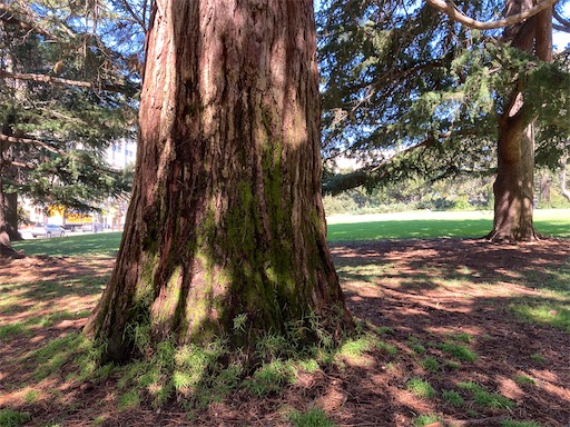 f:id:KirigirisuMax:20221015194508j:image